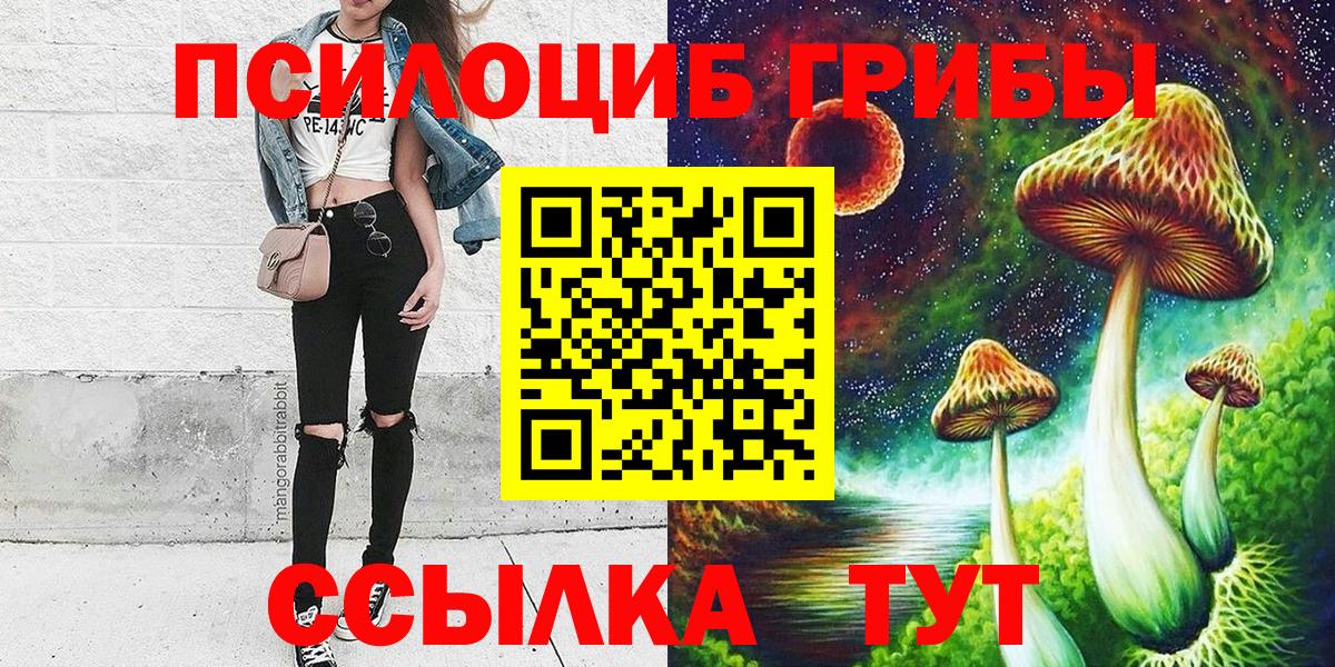 Галлюциногенные грибы Psilocybe Дмитров
