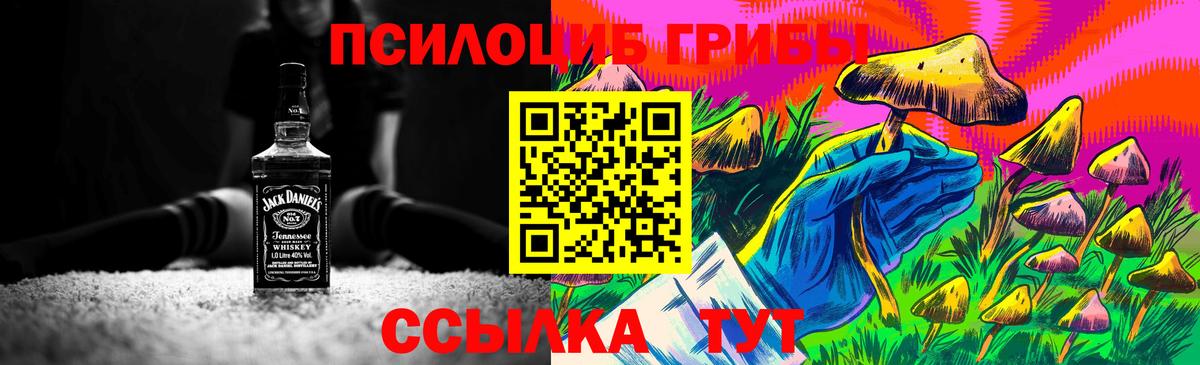 где можно купить   Галлюциногенные грибы GOLDEN TEACHER  Вход с VPN  Дмитров 